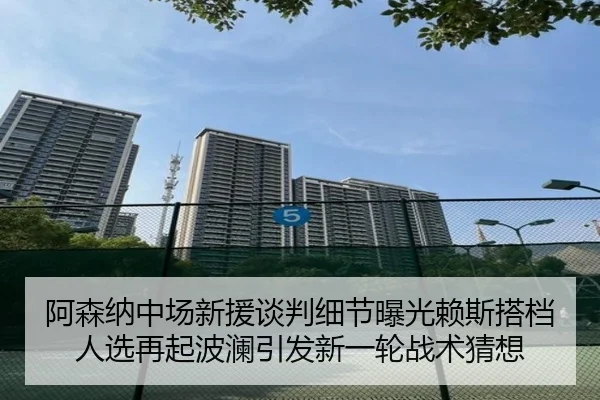 阿森纳中场新援谈判细节曝光赖斯搭档人选再起波澜引发新一轮战术猜想
